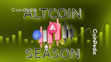 عملات الألت تتجه لتتفوق على البيتكوين بعد وصوله لقمة تاريخية جديدة عند 125,500 دولار