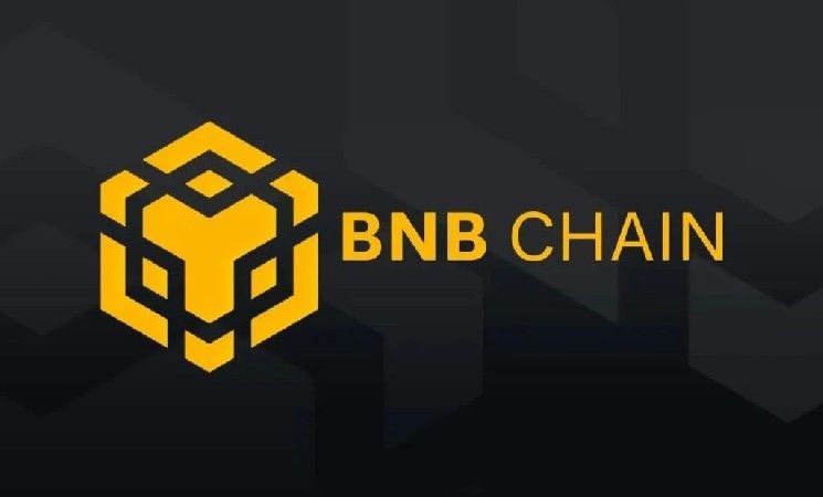 حجم تداول عملات الميم على شبكة BNB يحطم الأرقام القياسية! ماذا يعني ذلك؟ كل التفاصيل هنا