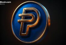 باي بال تستحوذ على المرتبة السادسة في سوق العملات المستقرة بعملتها PYUSD