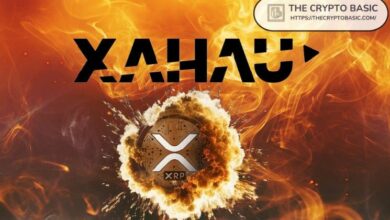 "Quantoz تطلق عملة EURQ المستقرة المدعومة باليورو على الشبكة الجانبية Xahau لليدجر XRP"