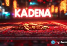 ما الذي حدث حقًا لـ كادينا – داخل الانهيار الذي لم يتوقعه أحد