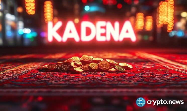 ما الذي حدث حقًا لـ كادينا – داخل الانهيار الذي لم يتوقعه أحد