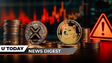تكوين XRP يشكل علامة الموت مقابل البيتكوين.. دوجكوين (DOGE) يقفز 13%.. شيبا إينو يحذف صفرًا – خلاصة أخبار العملات الرقمية