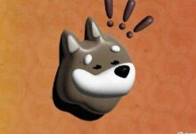 بونك إنك: عملة ميمي سولانا تتحول إلى شركة رسمية مع إعادة تسمية خزينة العملات المشفرة