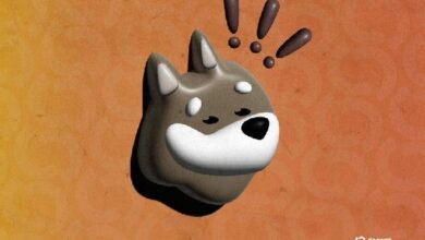 بونك إنك: عملة ميمي سولانا تتحول إلى شركة رسمية مع إعادة تسمية خزينة العملات المشفرة