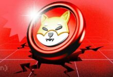 عجز الـ SHIB الوظيفي: TVL لـ Shibarium يكشف عن خلل هيكلي