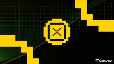 مهندس في Ripple: دفتر حسابات XRP يطمح ليصبح الخيار الأول للمؤسسات في الابتكار والموثوقية