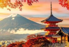 بايت بيت توقف تسجيل المستخدمين الجدد في اليابان