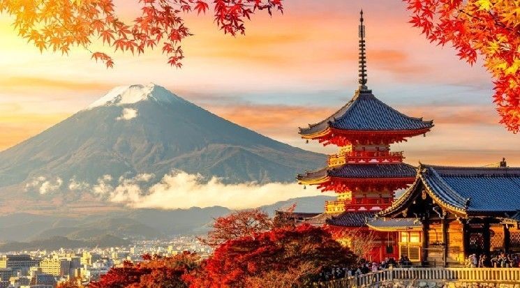 بايت بيت توقف تسجيل المستخدمين الجدد في اليابان