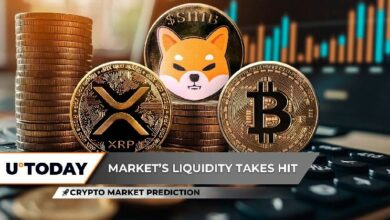 توقعات سوق العملات الرقمية: هل يدخل الريبل (XRP) في انهيار حر بعد خسارة الدعم الحاسم؟ بيتكوين (BTC) يلامس قمة 120,000 دولار بينما تبدأ شيبا إينو (SHIB) انعكاسًا صعوديًا هامًا