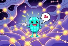 إطلاق التوسع المرن لـ Polkadot 2.0 يحقق قفزة مذهلة في الأداء بمقدار 3 أضعاف