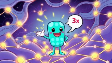 إطلاق التوسع المرن لـ Polkadot 2.0 يحقق قفزة مذهلة في الأداء بمقدار 3 أضعاف