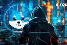 شيبا إنو: موقع شيتوشي كوساما الغامض يثير الفضول وسط صمته على إكس