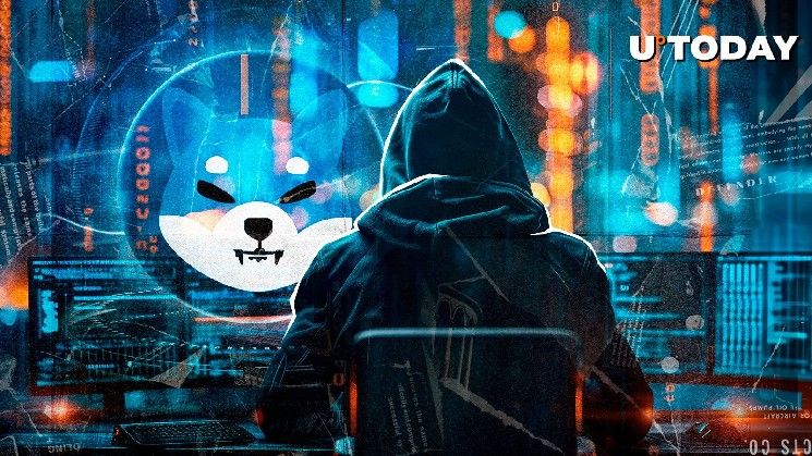 شيبا إنو: موقع شيتوشي كوساما الغامض يثير الفضول وسط صمته على إكس