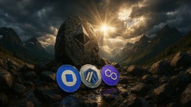 هل اختار فيتاليك جانبًا؟ اختبار الولاء لطبقة Ethereum الثانية تحت المجهر