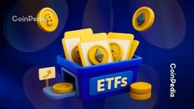 تأجيل إطلاق صناديق XRP ETF؟ خبير: تجاهل مواعيد "19 أكتوبر" ليست النهاية