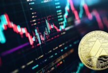 إطلاق كروتراد منصة رقمنة الخمور على Avalanche لمكافأة المنتجين