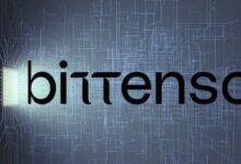 إطلاق جناح إدارة الأصول في يوما.. الاستوديو اللامركزي للذكاء الاصطناعي من بتتنسور