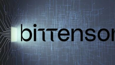 إطلاق جناح إدارة الأصول في يوما.. الاستوديو اللامركزي للذكاء الاصطناعي من بتتنسور