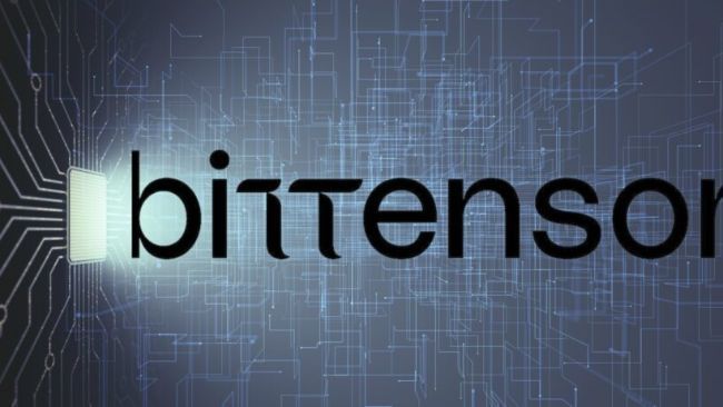 إطلاق جناح إدارة الأصول في يوما.. الاستوديو اللامركزي للذكاء الاصطناعي من بتتنسور