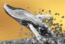 هل ينسحب المستثمرون الأذكياء؟ حيتان العملات تتخلص من Solana وAave وAster