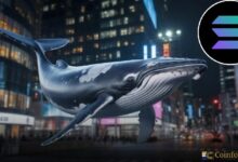 نشاط الحيتان في سولانا يؤكد تزايد الاهتمام المؤسسي