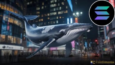 نشاط الحيتان في سولانا يؤكد تزايد الاهتمام المؤسسي