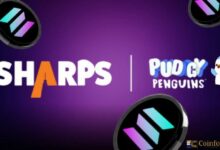 "بطاريق بودجي" تدمج رموز NFT مع التمويل اللامركزي على سولانا