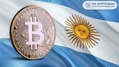 الأرجنتينيون يتجهون للعملات المستقرة لتحقيق أرباح مراجحة يومية بنسبة 4% وسط قيود العملة