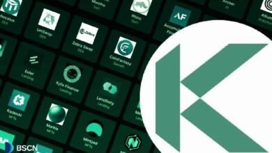 تحديث شامل: تقدم شبكة كادينا EVM التجريبية Chainweb بعد 3 أشهر وآفاق المستقبل