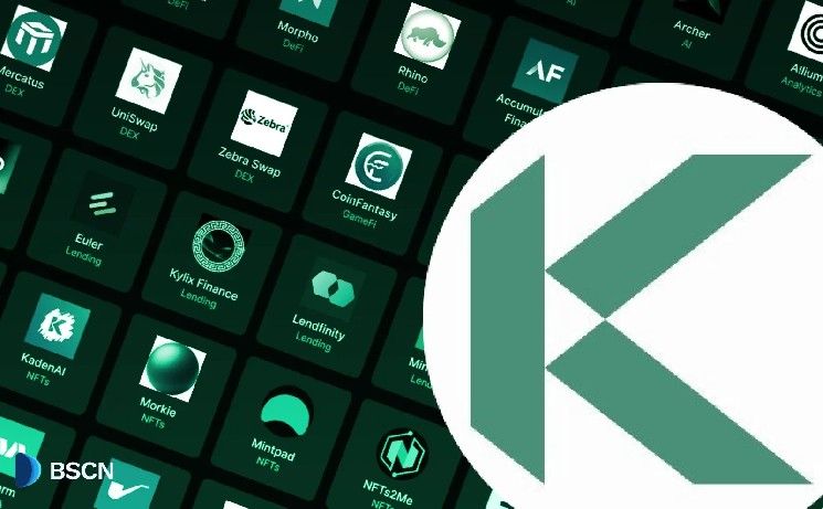 تحديث شامل: تقدم شبكة كادينا EVM التجريبية Chainweb بعد 3 أشهر وآفاق المستقبل