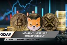 توقعات سوق العملات الرقمية: بيتكوين إلى 130 ألف دولار؟ شيبا إينو عند 0.000012 دولار وإكس آر بي يكسر 5 مستويات مقاومة دفعة واحدة