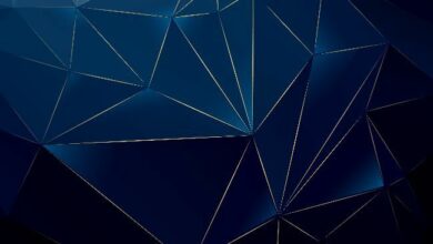 "فانتج" و"كاستوديا" تطلقان ودائع مُرمَّزة