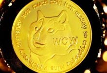 انخفاض دوجكوين 25% مع هروب 57 مليون دولار من السوق.. هل يمكن للعملة الميمية التعافي؟