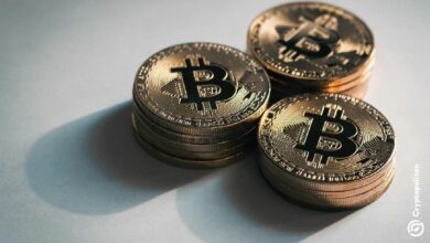 احتياطيات خزينة البيتكوين تبلغ 130 مليار دولار.. تفوق احتياطيات العملات الرقمية الأخرى بأربعة أضعاف