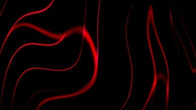 صندوق Laser Digital يُرمز على شبكة Sei عبر KAIO