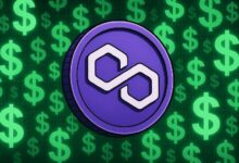 دي كارد وبوليجون لابز تُحدثان ثورة في المدفوعات: قبول العملات المستقرة في أكثر من 150 مليون متجر