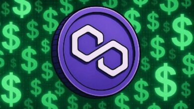 دي كارد وبوليجون لابز تُحدثان ثورة في المدفوعات: قبول العملات المستقرة في أكثر من 150 مليون متجر