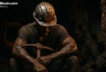 خمسة أشهر من الخسائر: أرباح مُعدّني البيتكوين تهوي بنسبة ٧٢٪