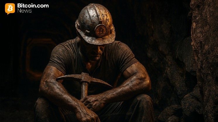 خمسة أشهر من الخسائر: أرباح مُعدّني البيتكوين تهوي بنسبة ٧٢٪