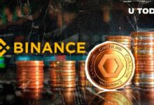 هل يعود "أكتوبر الصاعد" لـ Chainlink بعد شراء الحيتان كميات هائلة؟