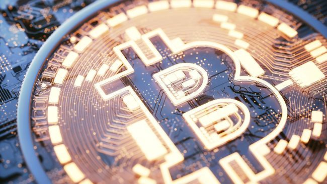 انسَ السعر.. ثورة البيتكوين الحقيقية تُكتَب في عالم البرمجة