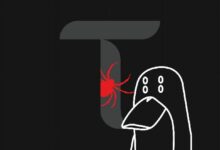 زاك إكس بي تي يكشف ثغرة في رايل غون ويعرّي قرصان بيتينسور