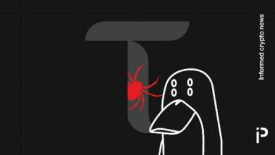 زاك إكس بي تي يكشف ثغرة في رايل غون ويعرّي قرصان بيتينسور