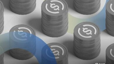 محكمة نيويورك توسع تجميد أصول "مولتي تشين" لدعم عملية التصفية في سنغافورة