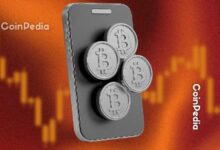 تيم درايبر يقود جولة تمويل بقيمة 3.2 مليون دولار لـ Ryder لتسهيل استعادة محافظ العملات الرقمية