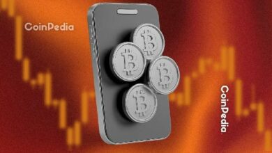 تيم درايبر يقود جولة تمويل بقيمة 3.2 مليون دولار لـ Ryder لتسهيل استعادة محافظ العملات الرقمية