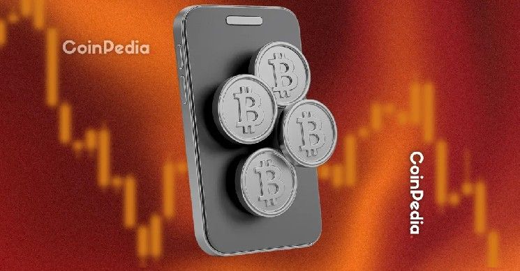 تيم درايبر يقود جولة تمويل بقيمة 3.2 مليون دولار لـ Ryder لتسهيل استعادة محافظ العملات الرقمية