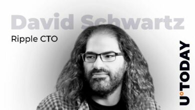 رئيس التقنية في ريبل يُحدِّد التهديد الأبرز لمحافظ العملات الرقمية المادية حالياً