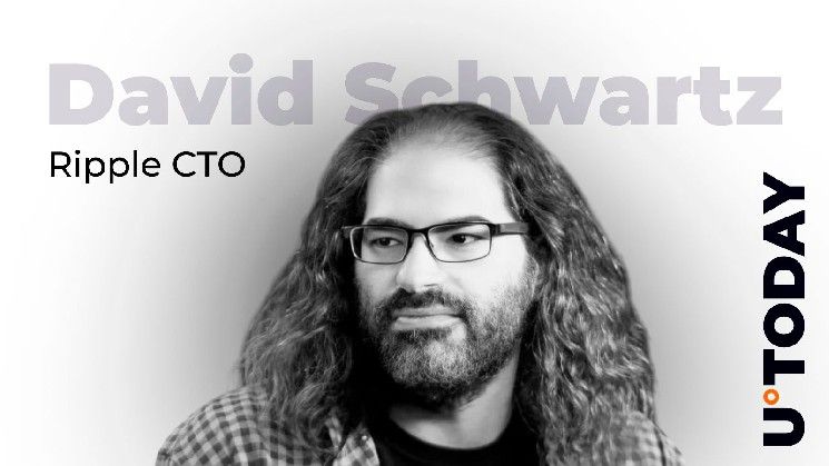 رئيس التقنية في ريبل يُحدِّد التهديد الأبرز لمحافظ العملات الرقمية المادية حالياً